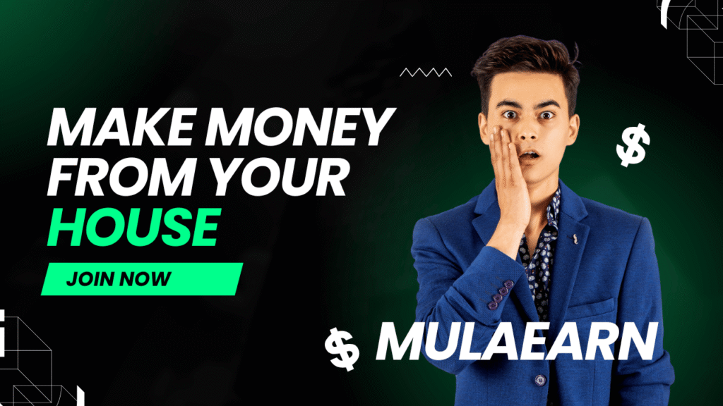 MulaEarn Agency:  Discover the Platform