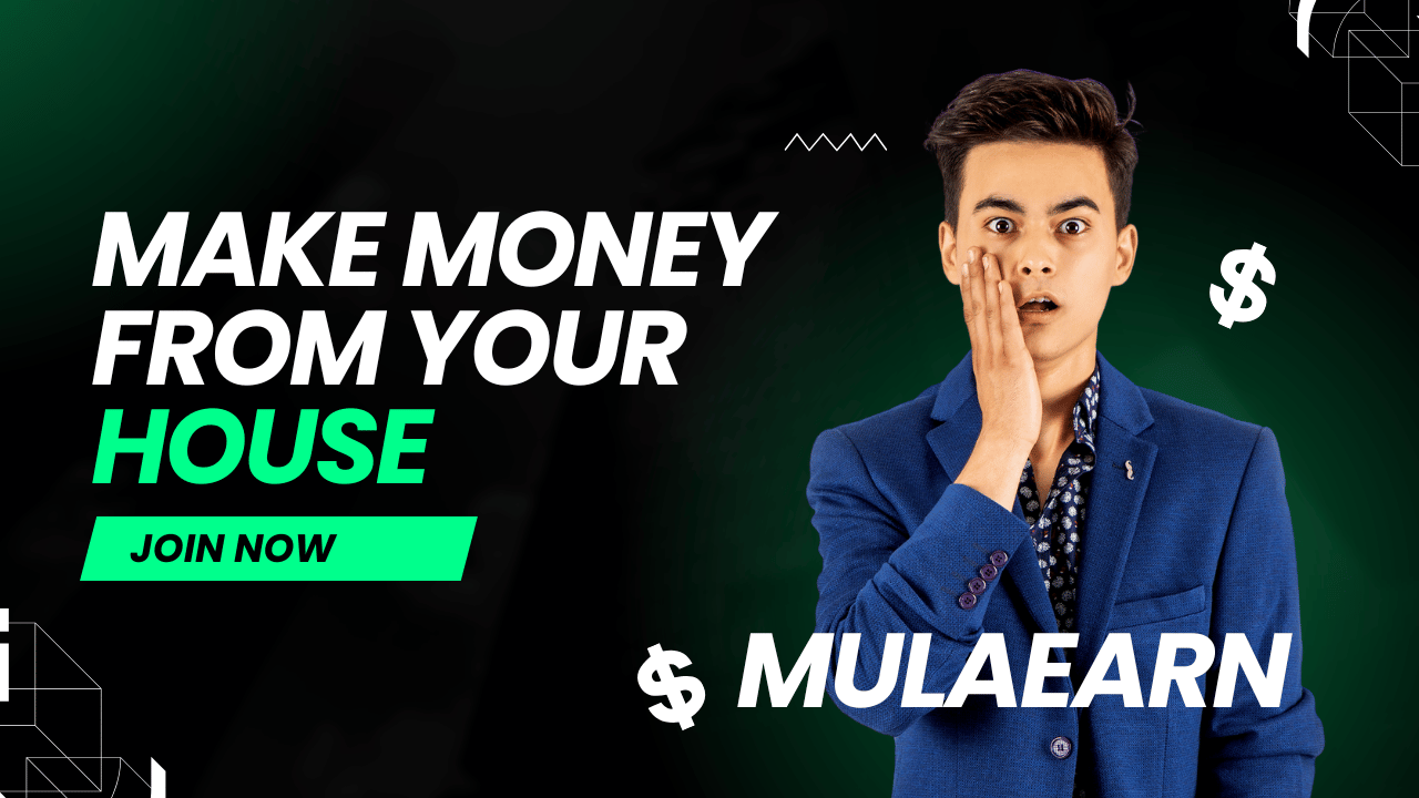 MulaEarn Agency:  Discover the Platform